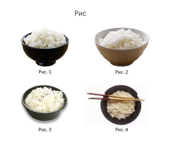 Укреплённый мир отвратительных сведений tweet media