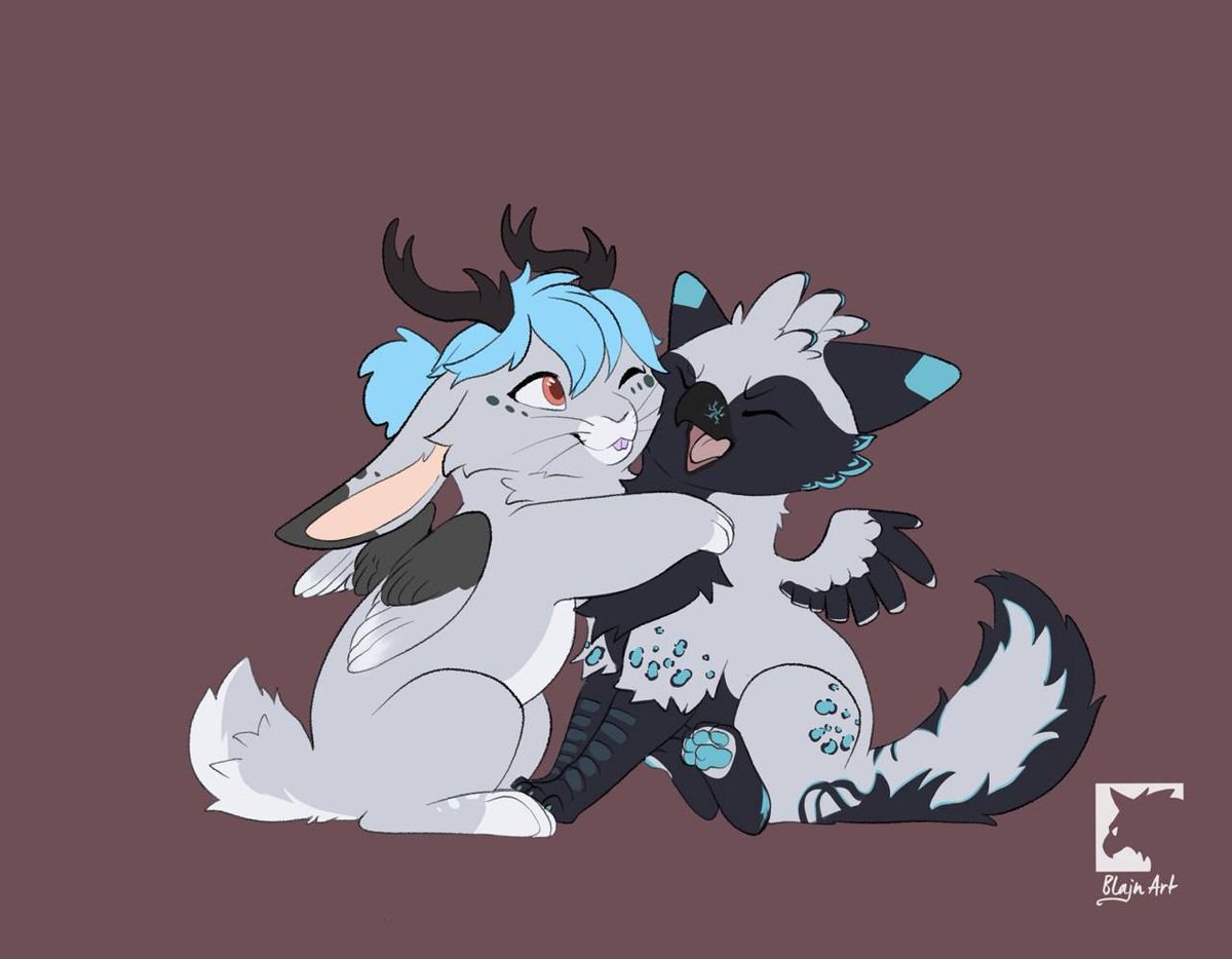 Winter Hawk tweet media