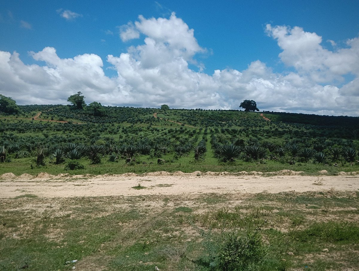 ブックス＆カフェ・ブーザンゴ tweet media