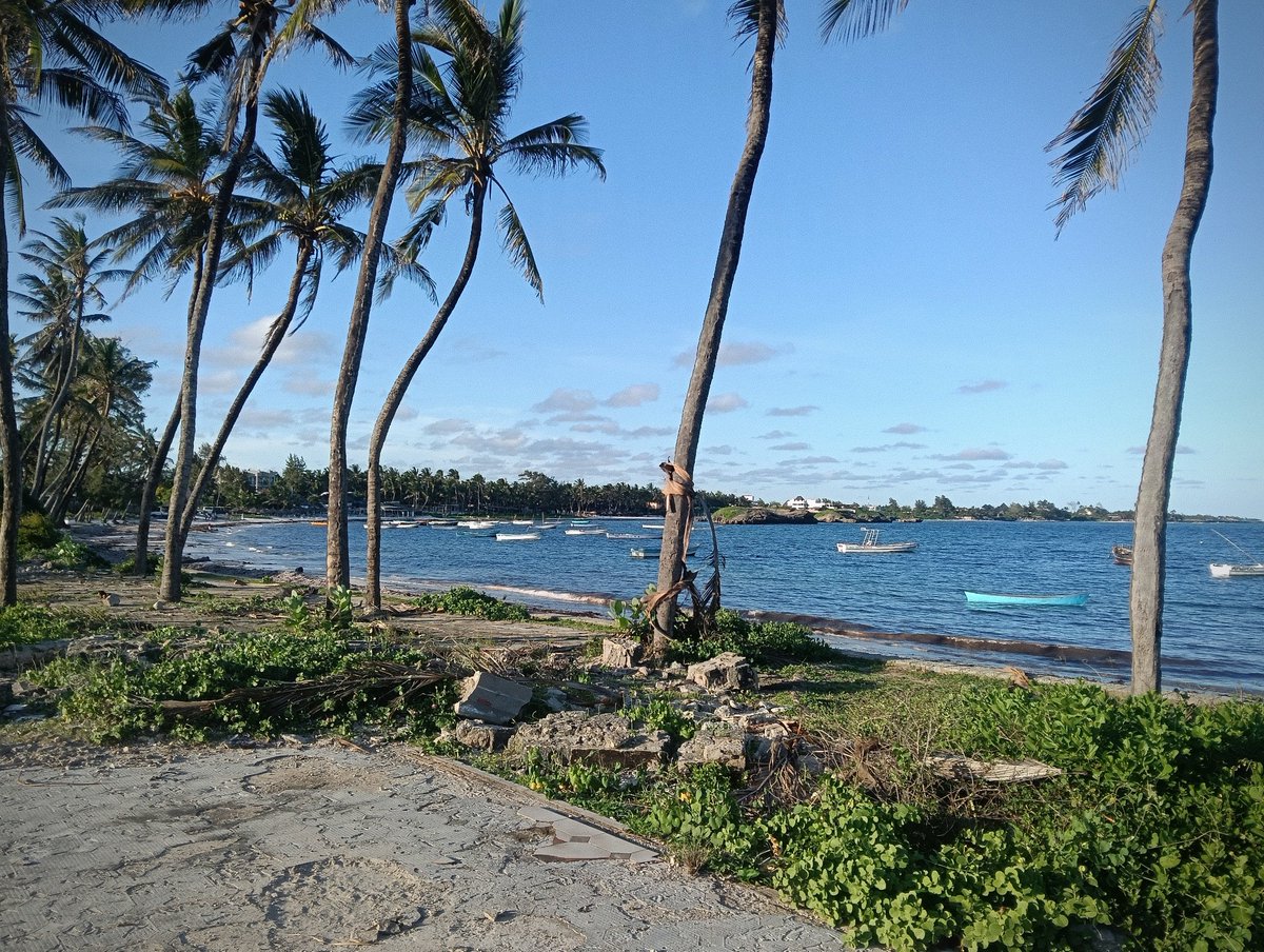 ブックス＆カフェ・ブーザンゴ tweet media