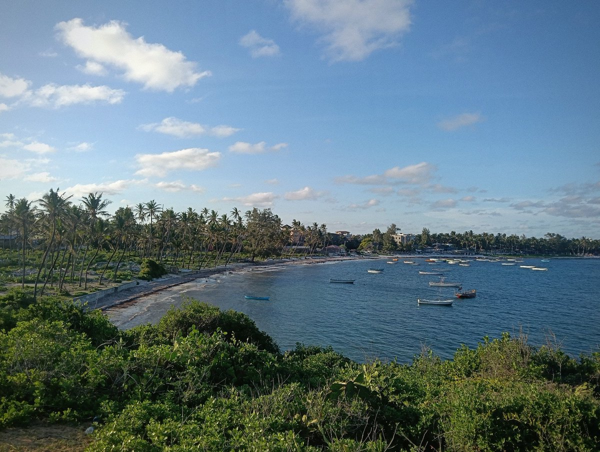 ブックス＆カフェ・ブーザンゴ tweet media