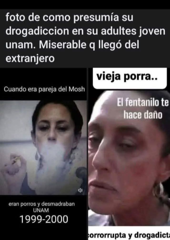 Elizabeth Padilla tweet media