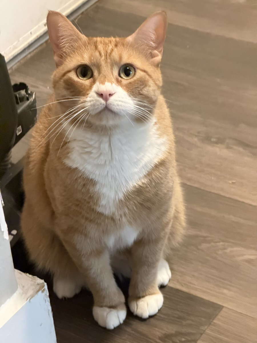 MrsRuby1986 tweet media