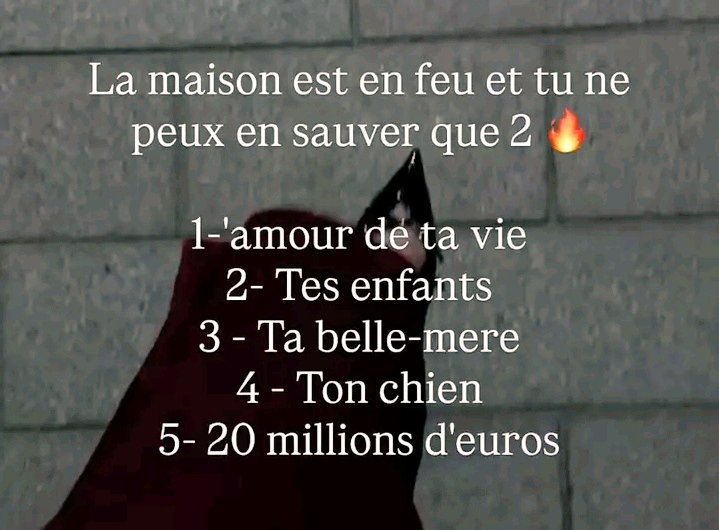 Junior Kaya tweet media