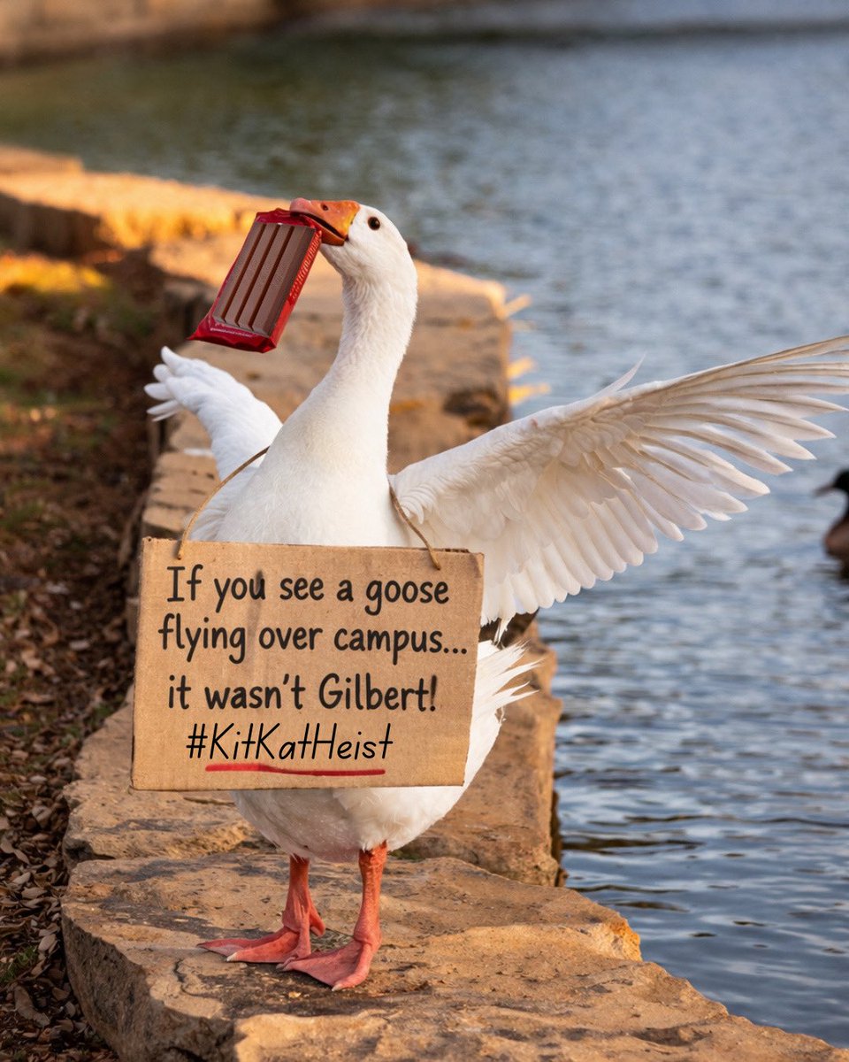 Hardin-Simmons University tweet media