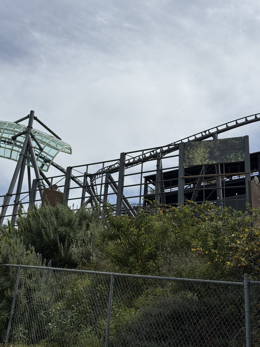 SoCalirific tweet media