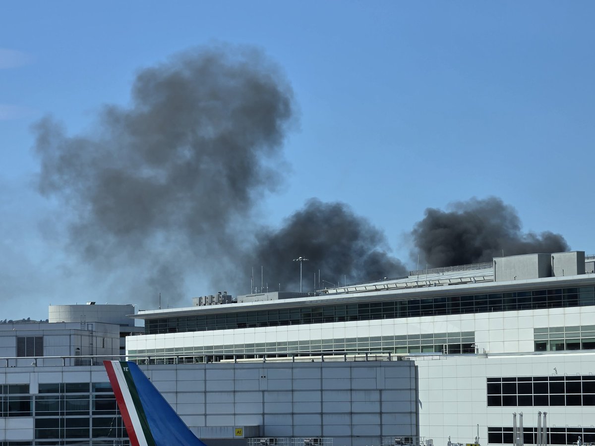 Licensed 2 Pill tweet media