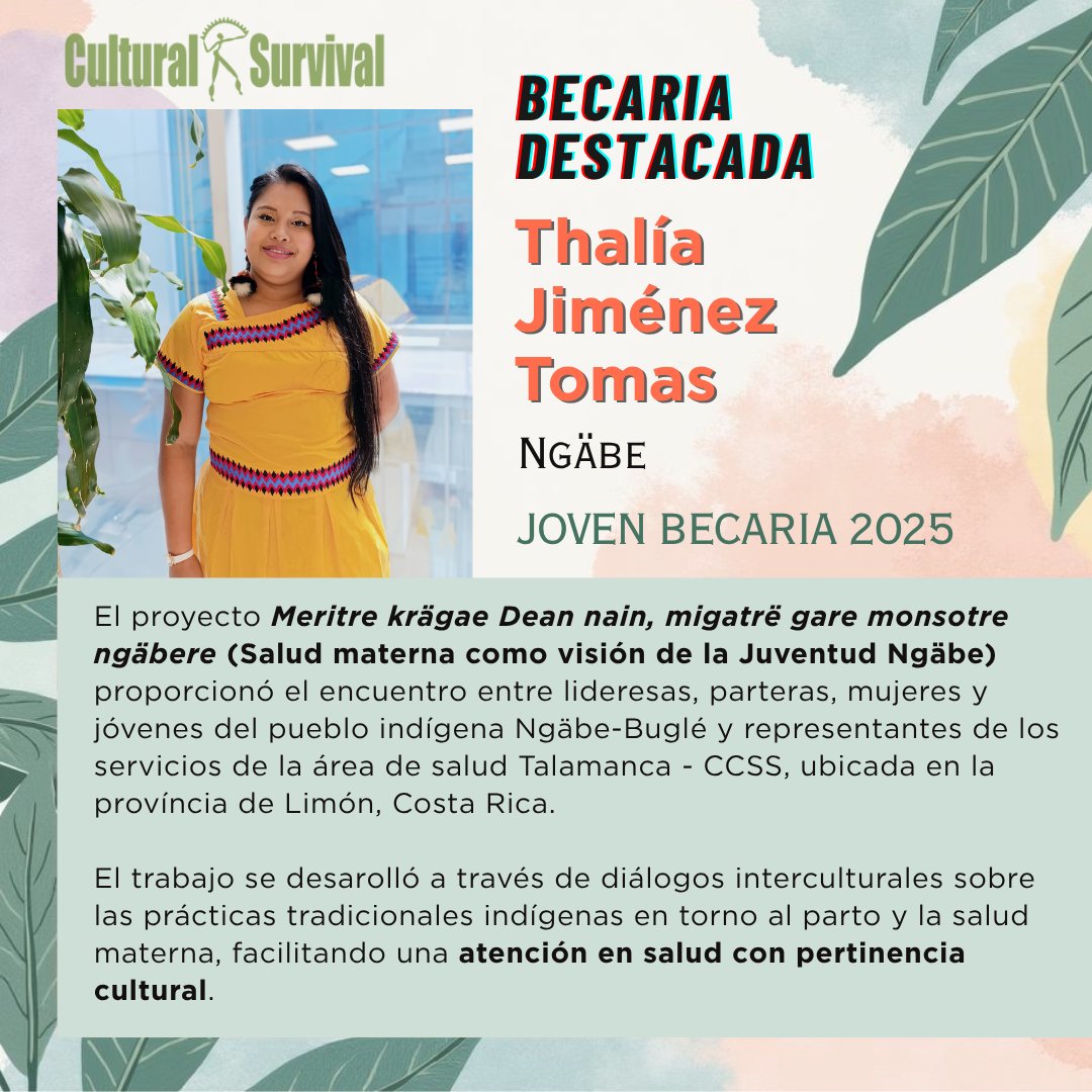 Cultural Survival en Español tweet media