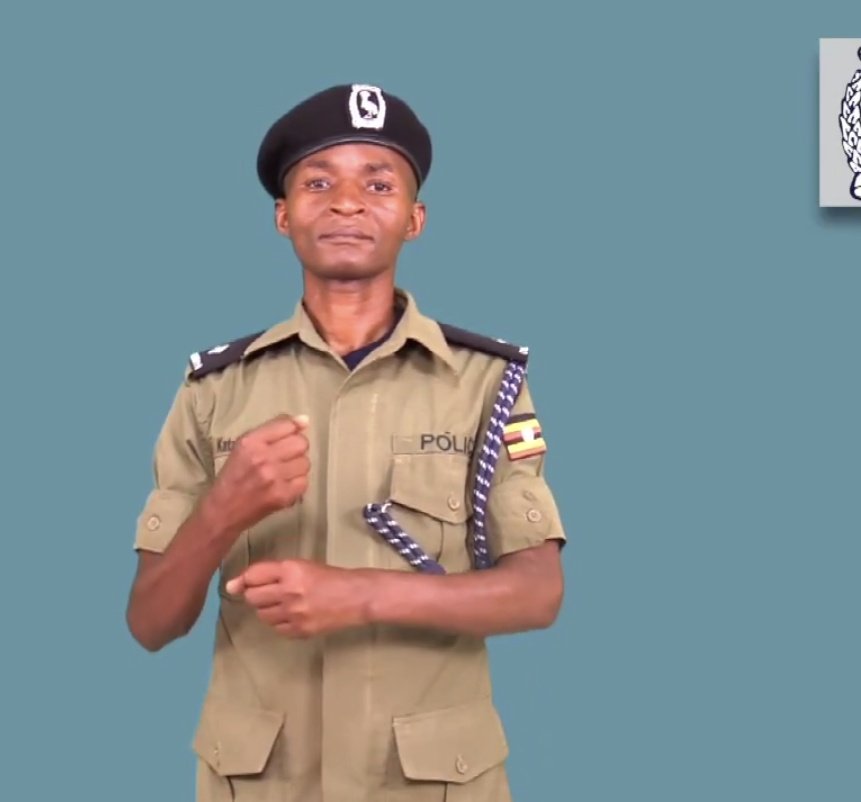 ◢ ◤ Kawabanga tweet media