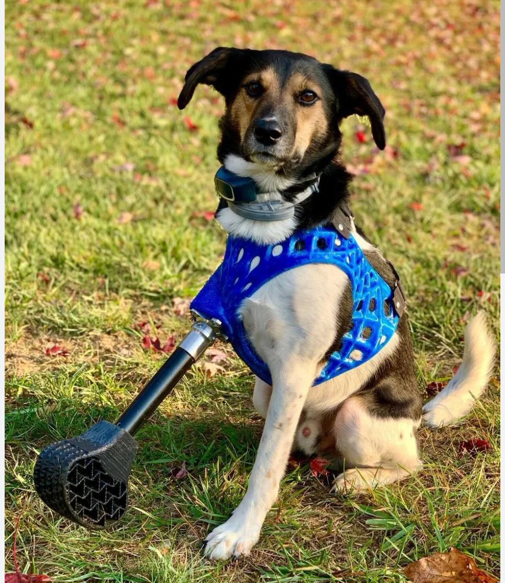 عبدالعزيز 🇮🇶 tweet media