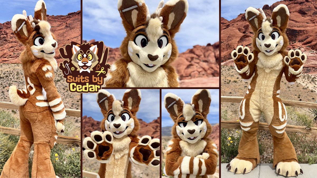 Suits By Cedar 🌵🐾 tweet media