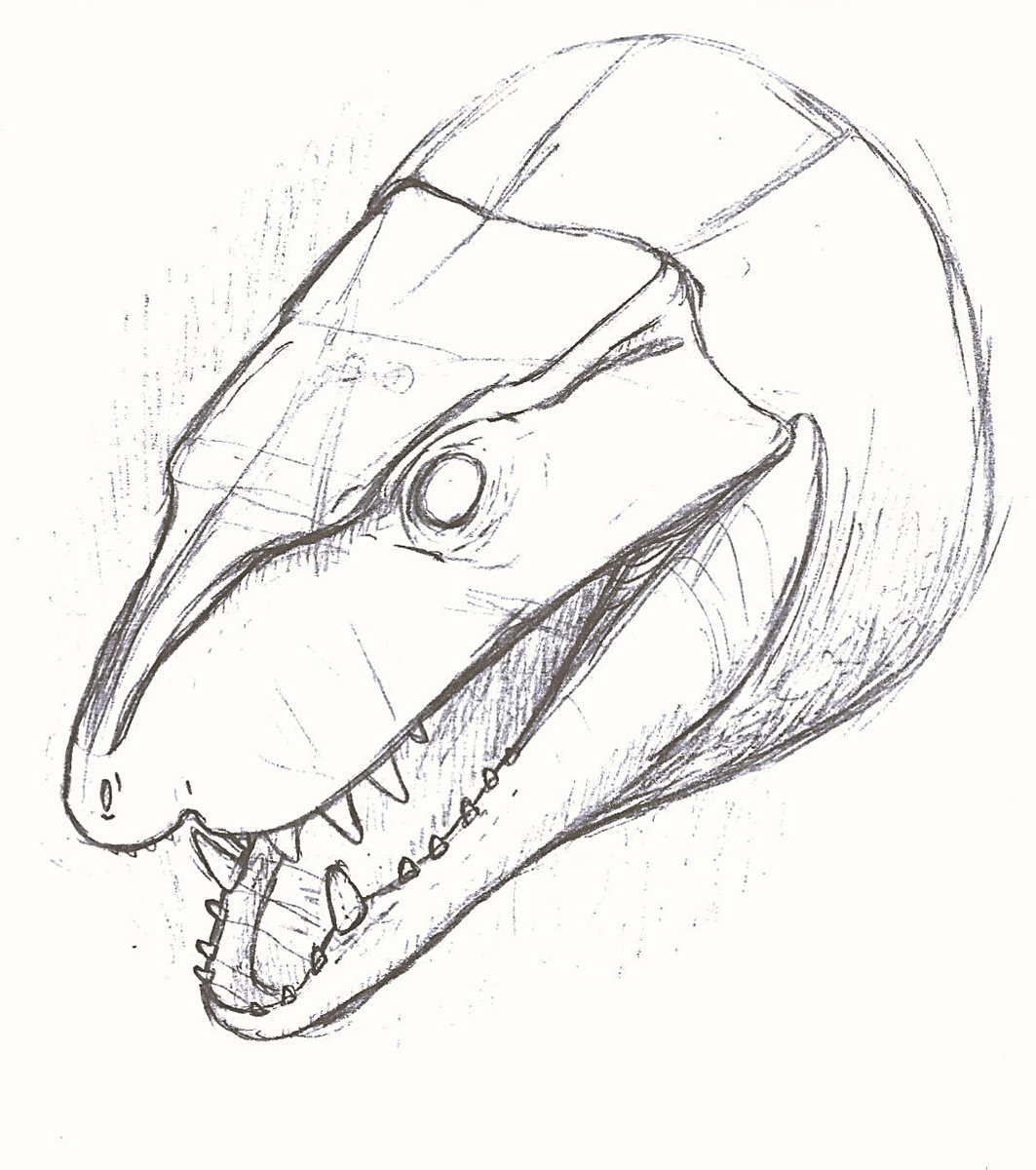 BatmanelVisigodo tweet media