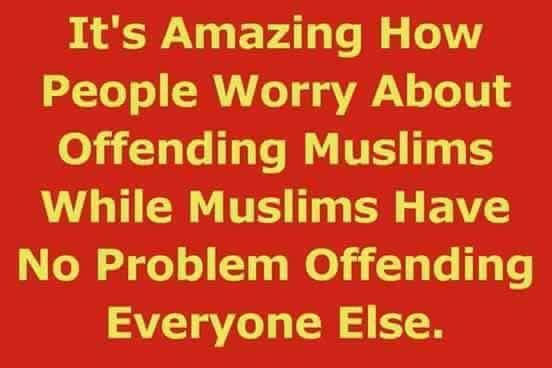 Cat Atonic tweet media