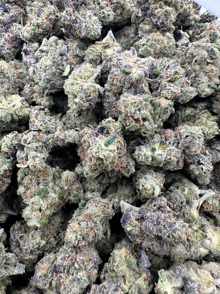 Neptune Seed Bank tweet media