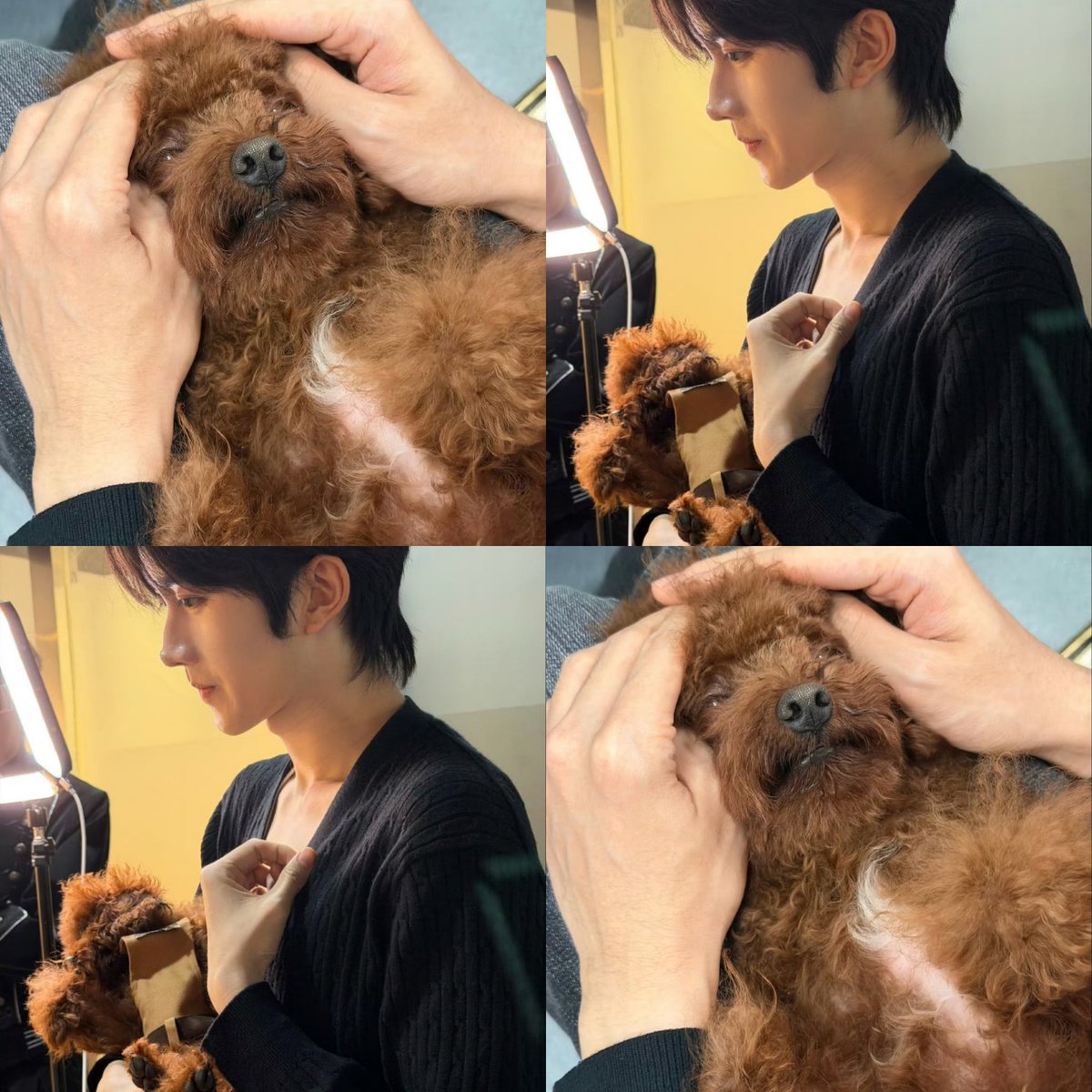 ♡𝗺𝗼𝗰𝗵𝗶⁷♡🌋𝐇𝐚𝐩𝐩𝐲 𝐐𝐢𝐮𝐐𝐢𝐮 𝐃𝐚𝐲 🍂 tweet media