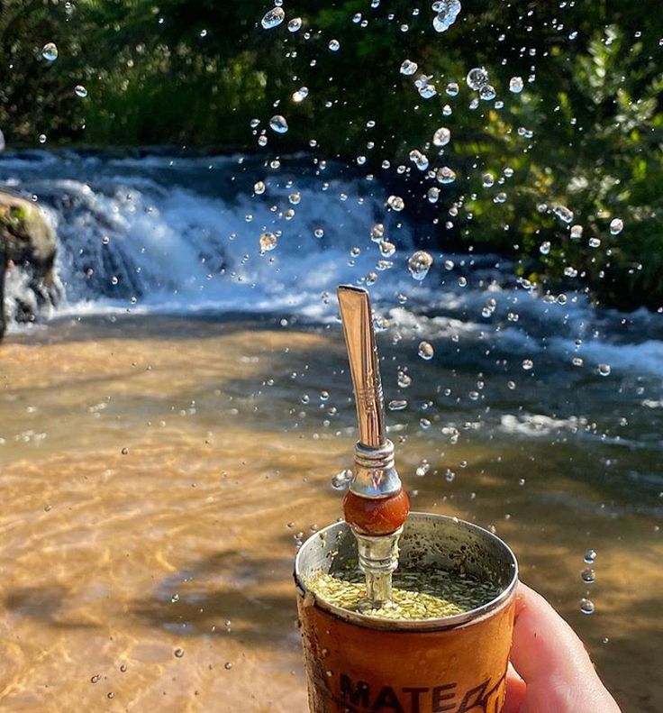 Isa Dodgson tweet media