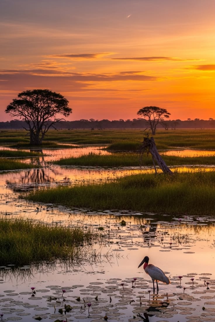 Isa Dodgson tweet media