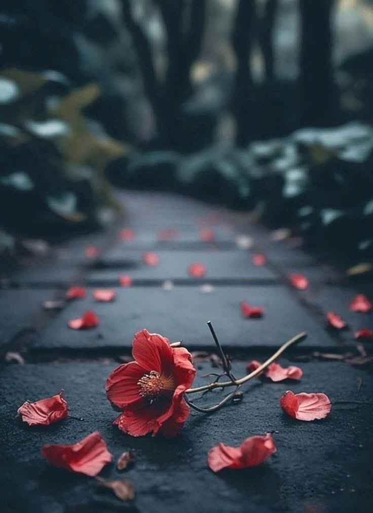 aysemmm_35's tweet photo. #Geceye gelsin 🌙👇

| En çok da, gidemedigi yollara yorulurmuş insan..
yaşamak isteyipte, yaşayamadıklarına..
konuştuklarından çok, sustuklarına!
yaptıklarından çok, yapamadıklarına yorulurmuş insan.

bunu öğrendim!..🌸🍂 https://t.co/FF3noHuUJH