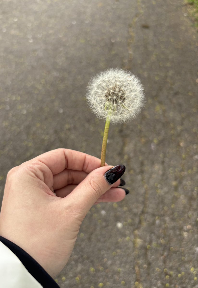 bonita lo thee oracle tweet media