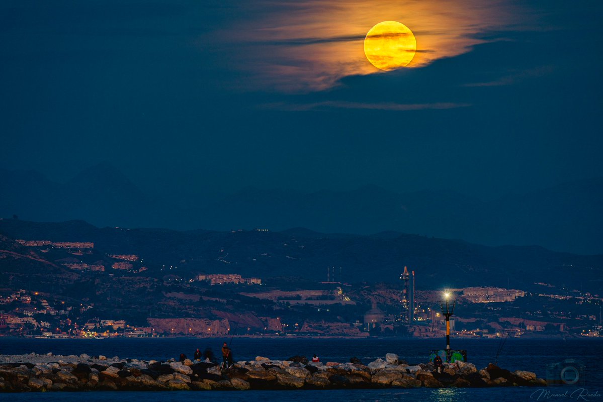 Zappa ۞ tweet media