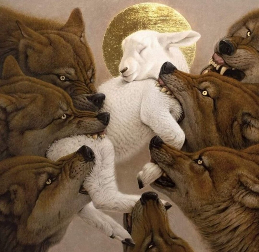 RÉSISTANCE tweet media