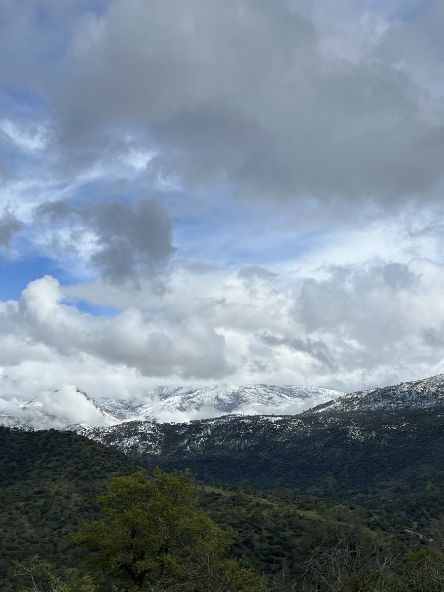 𝑩̶𝑶̶𝑮̶𝑬̶𝒀̶ tweet media