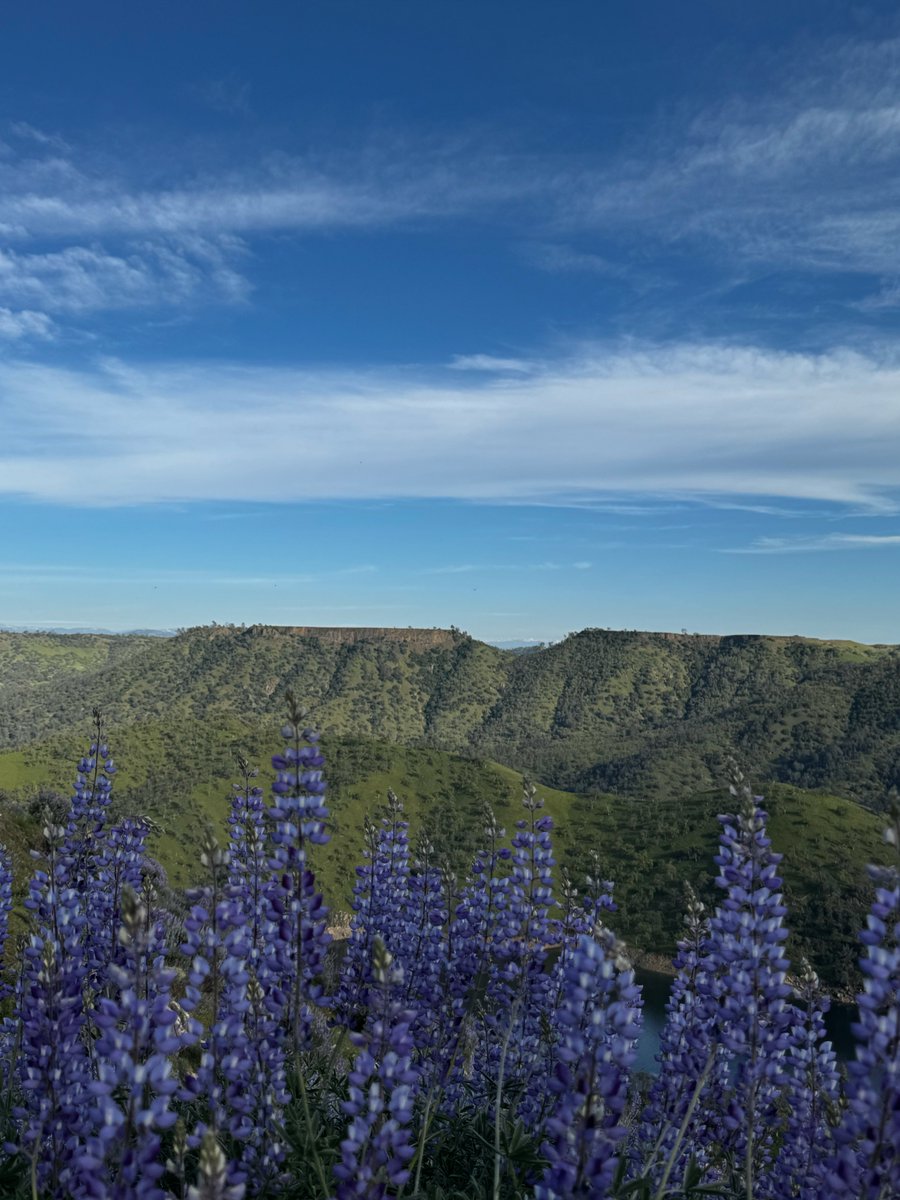 𝑩̶𝑶̶𝑮̶𝑬̶𝒀̶ tweet media