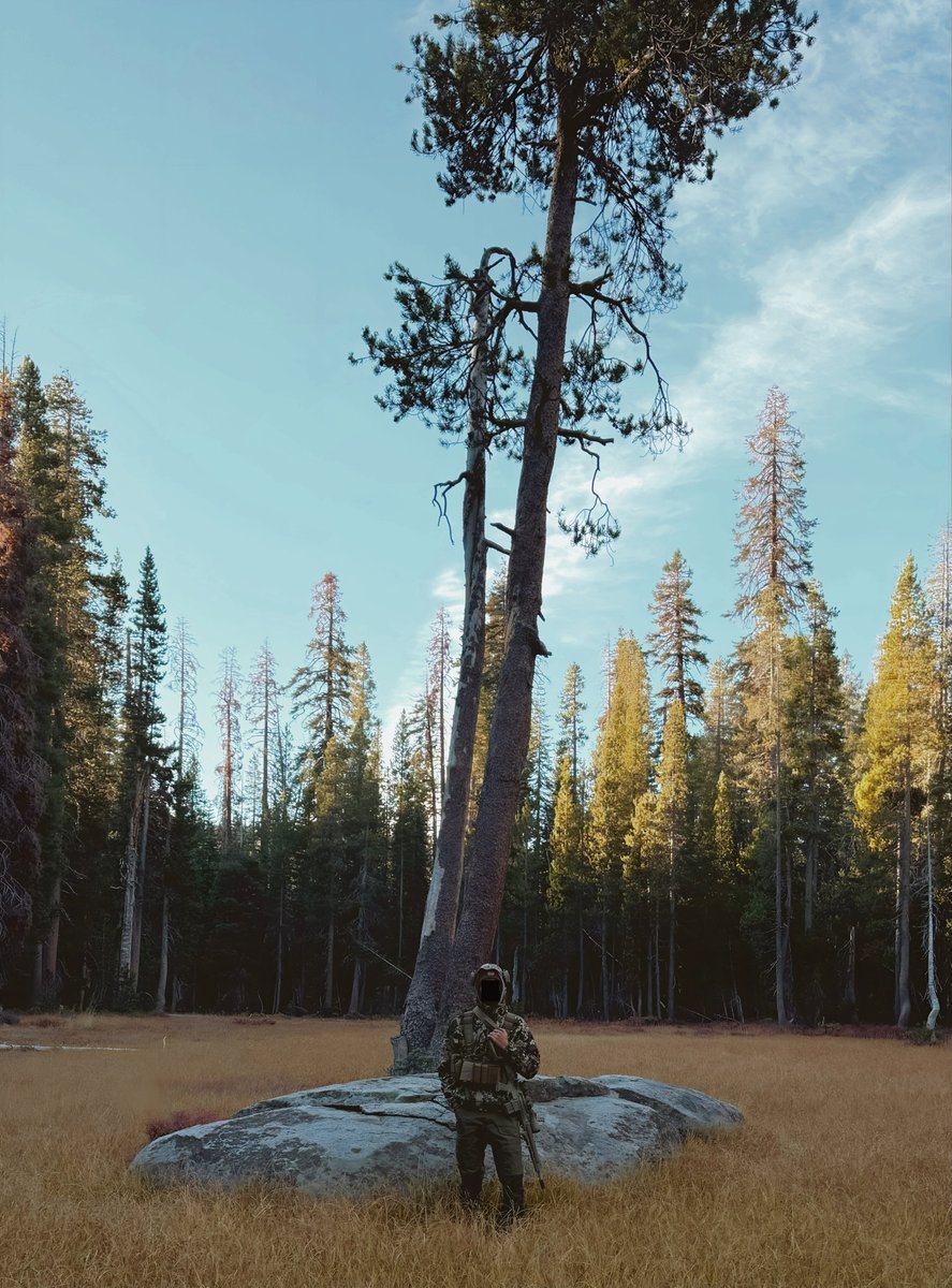 𝑩̶𝑶̶𝑮̶𝑬̶𝒀̶ tweet media