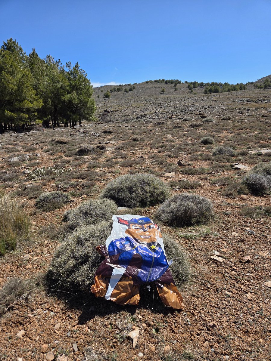 Lo que se encuentra uno en mitad de la Sierra de Gádor, a 1900 metros de altura, con la población más cercana a 9 kilómetros en línea recta y 1500 metros de diferencia...