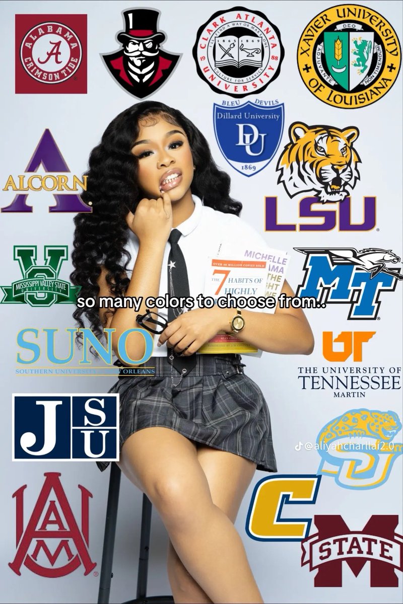 NetSurfer tweet media