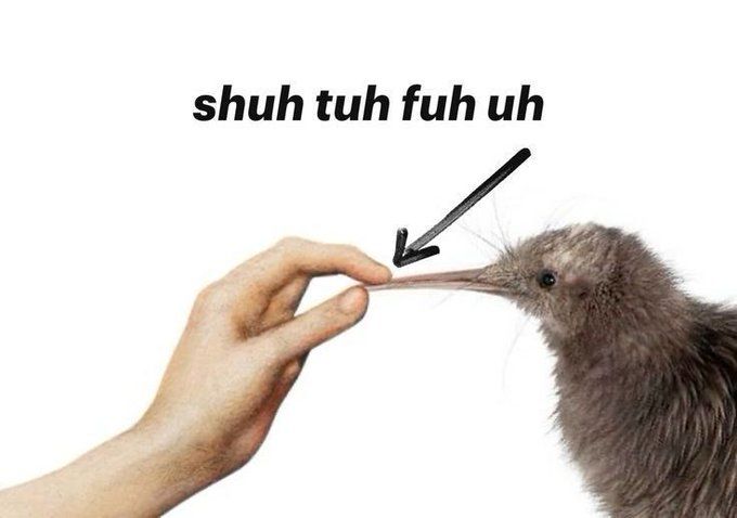 أطياز ميته tweet media