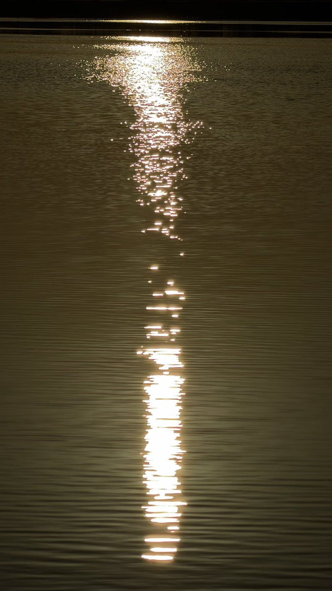 The dying of the light tweet media