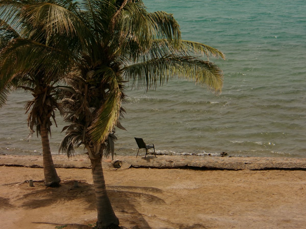 The dying of the light tweet media