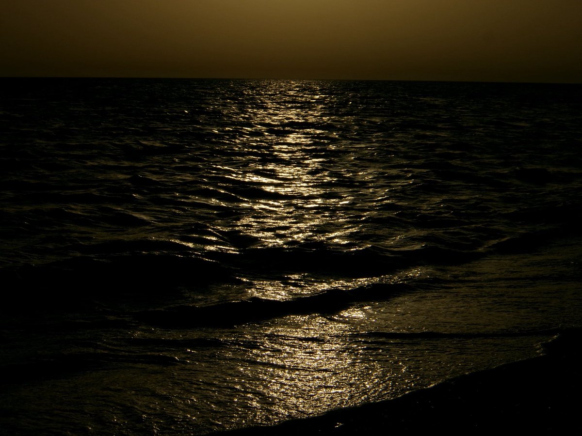 The dying of the light tweet media