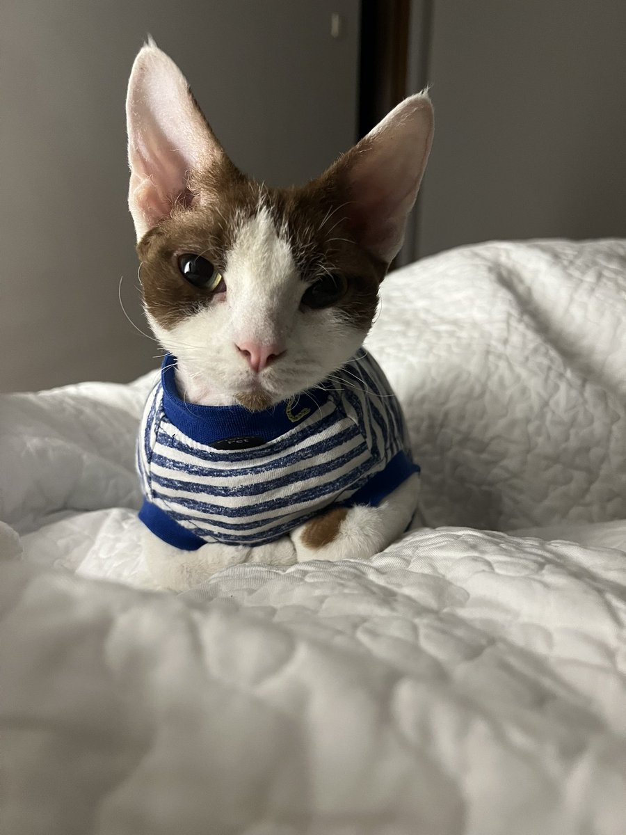 Вигорівша екс-менеджерка 🇺🇦 tweet media