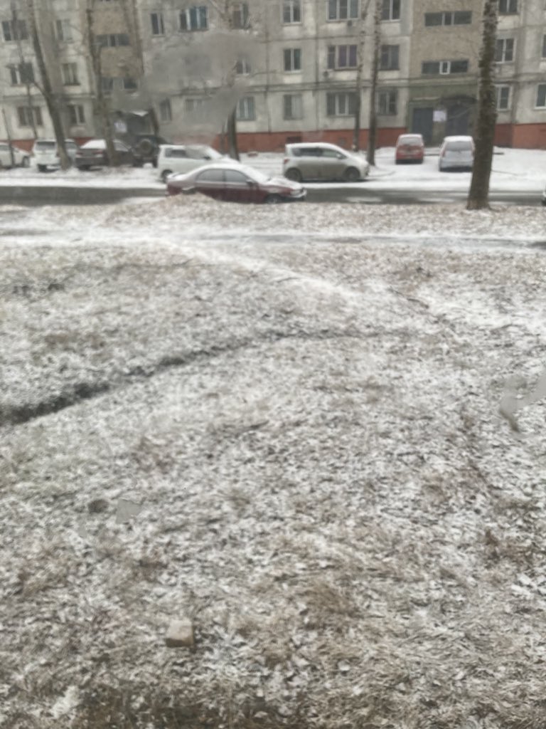 Ольга Панова tweet media