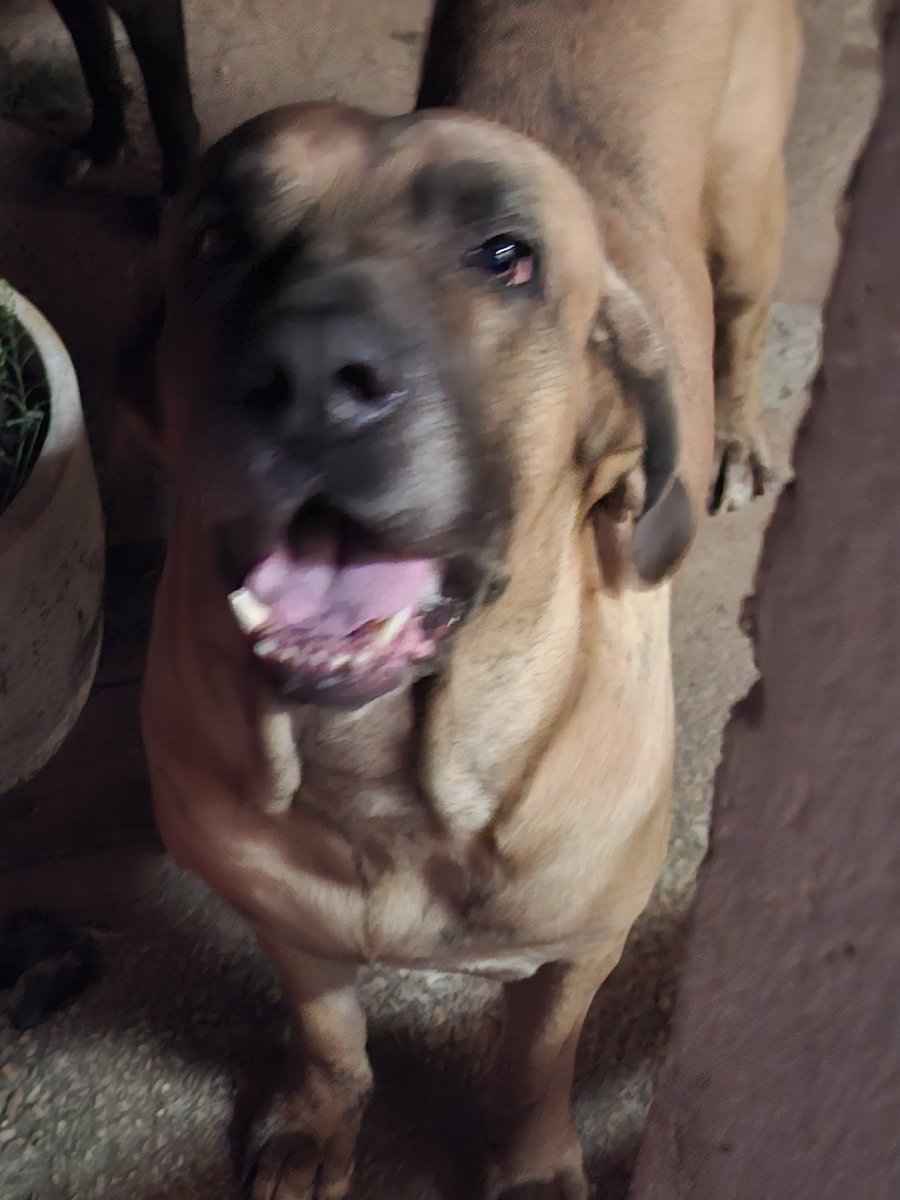 Gorge 🤠 tweet media