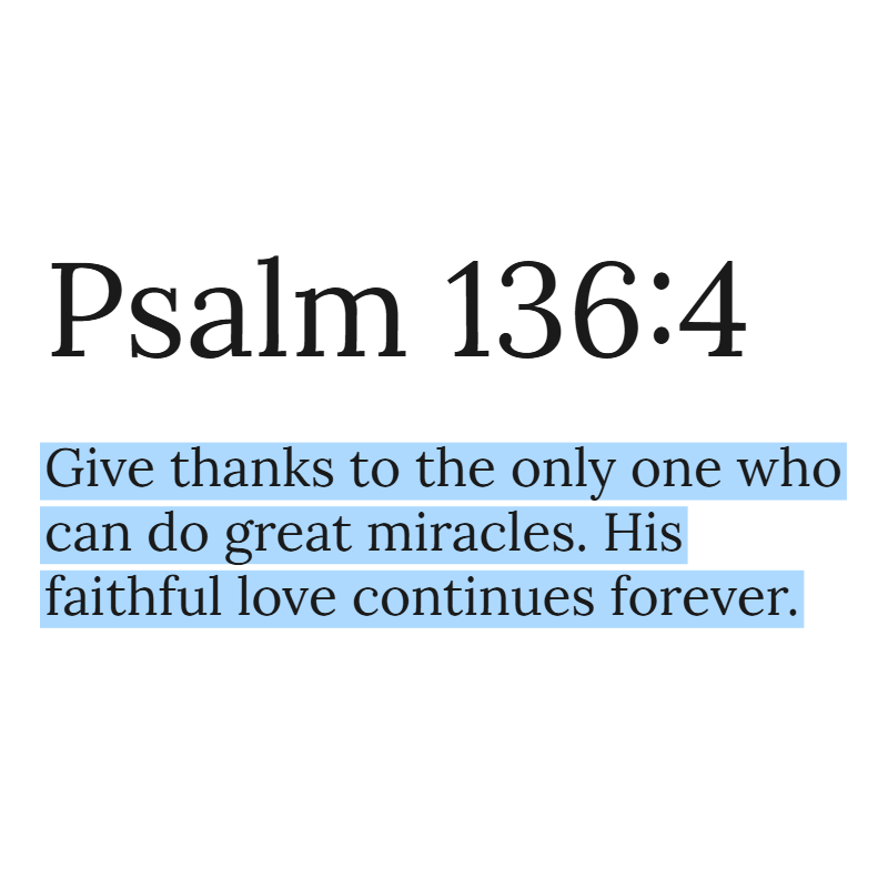 Holy Bible tweet media