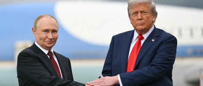 Mr._Twinkles tweet media