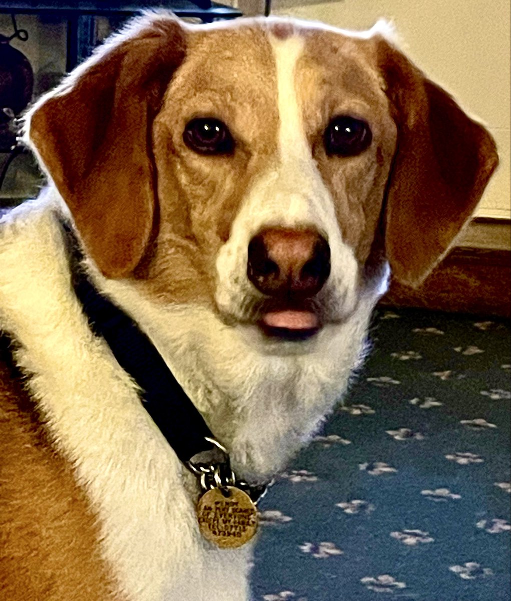 Janice Ward tweet media