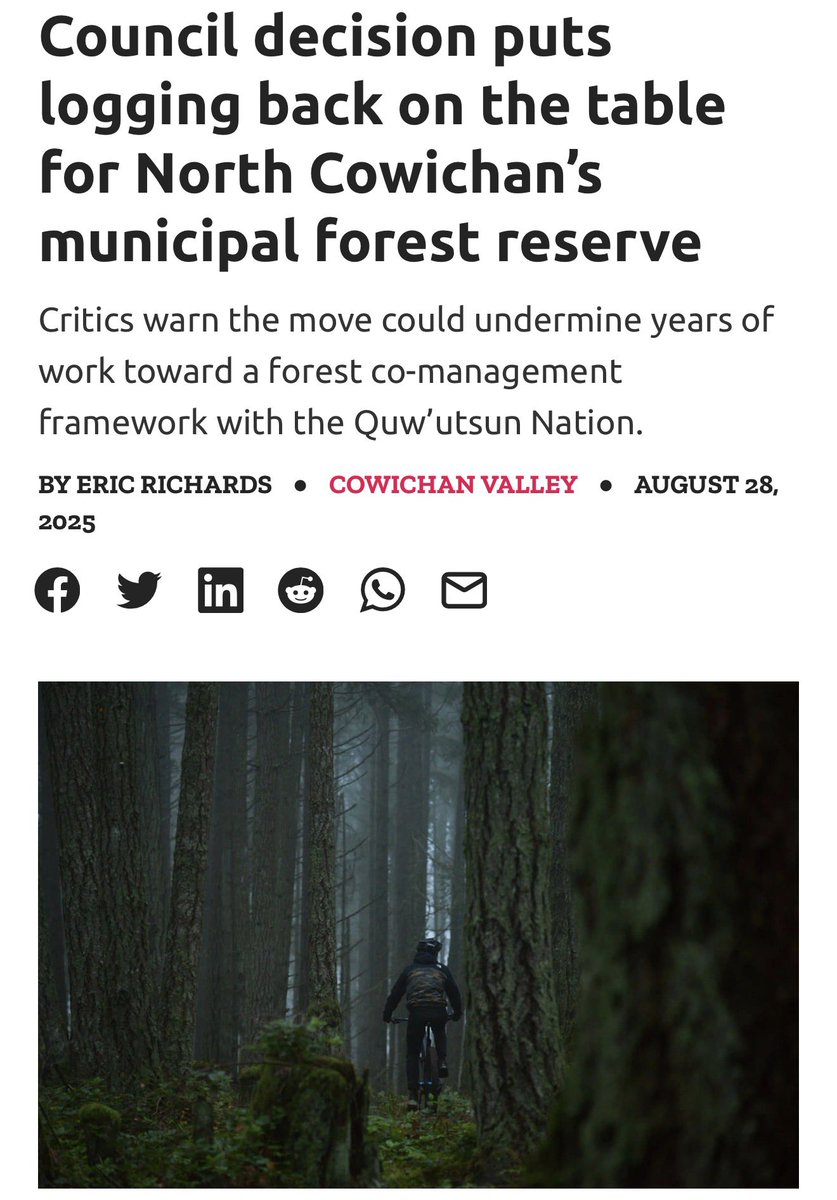 brittany tweet media