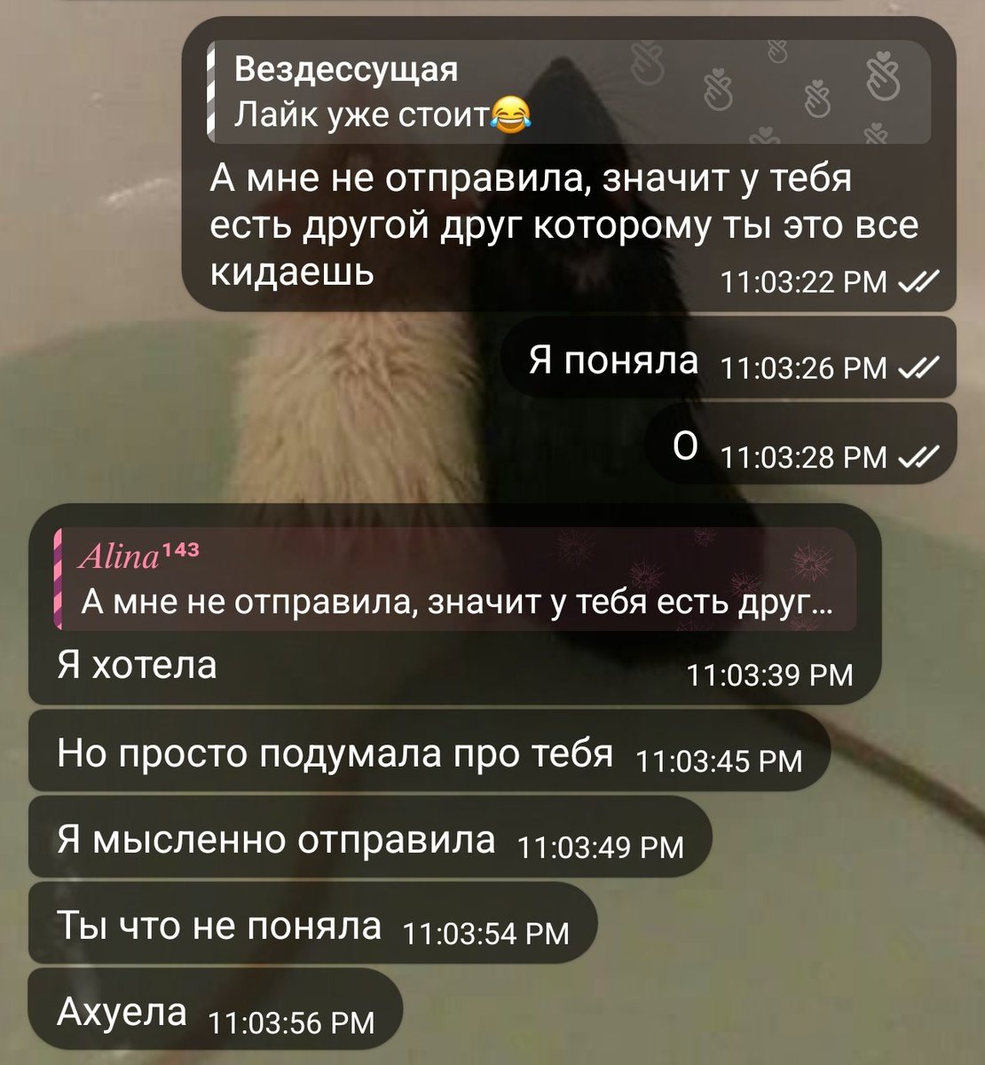 𝐀𝐒𝐭𝐫𝐚⛾ tweet media