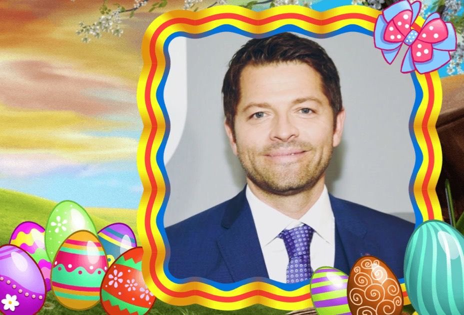 MISHACOLLINSFAN tweet media