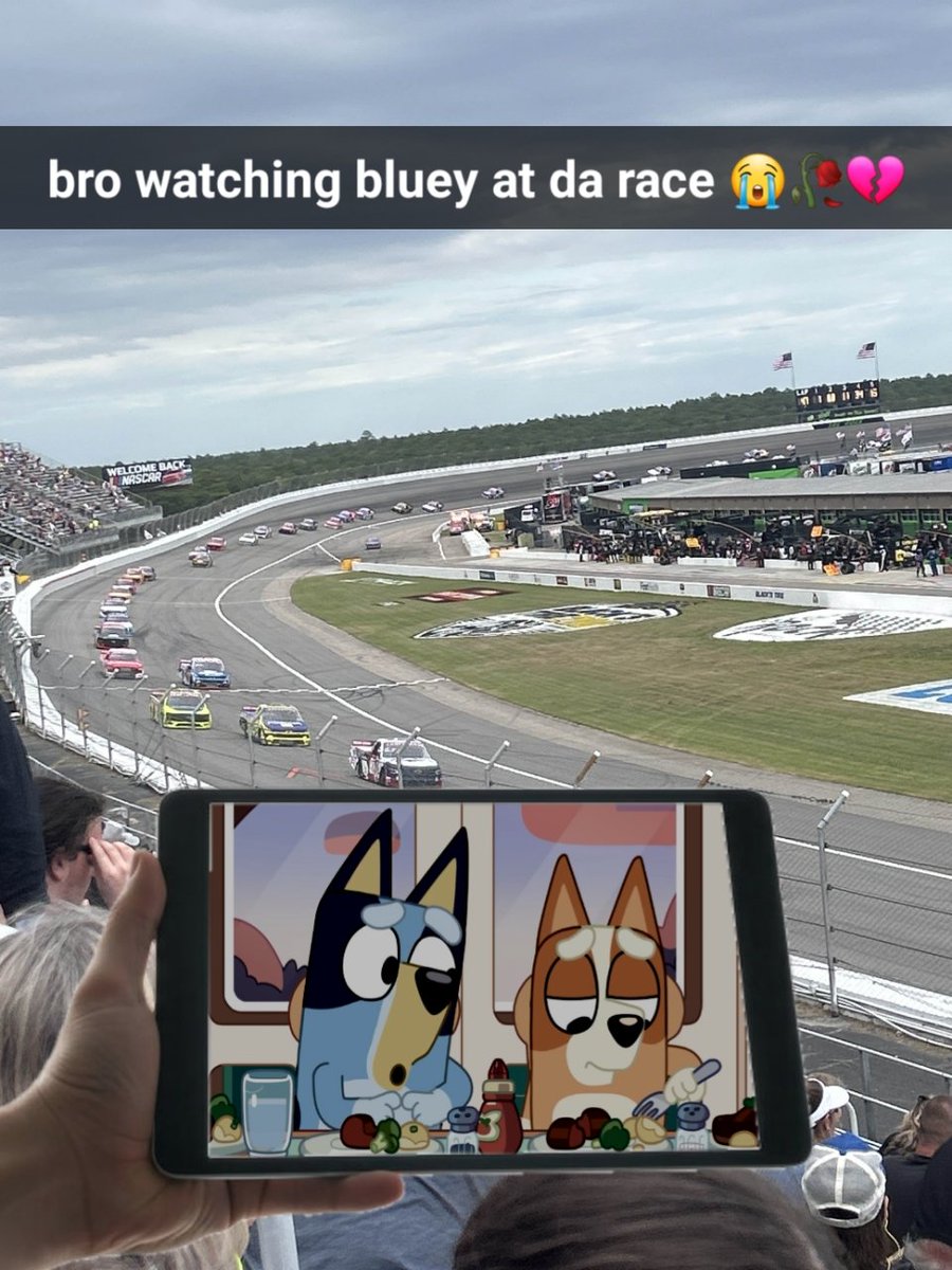 Gio🏁🐊 tweet media