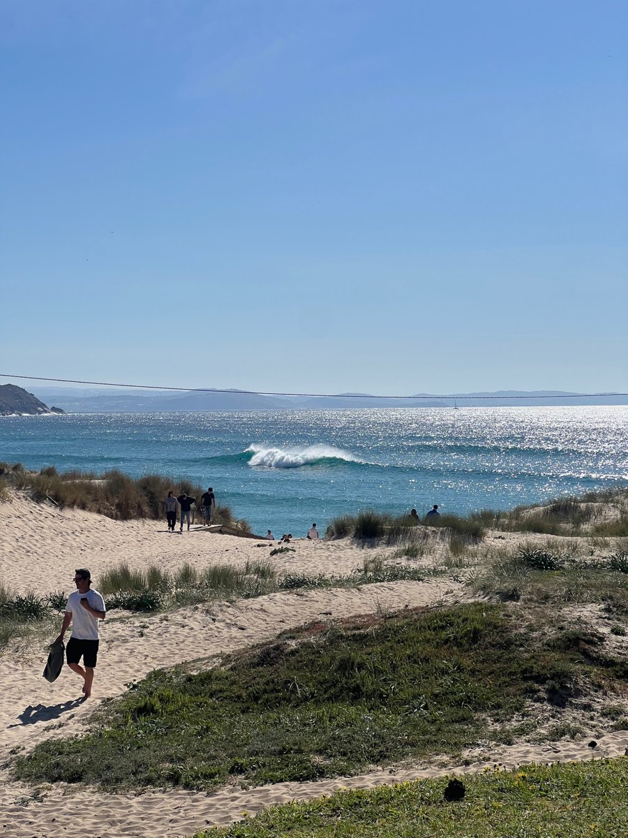 Guli Moreno tweet media