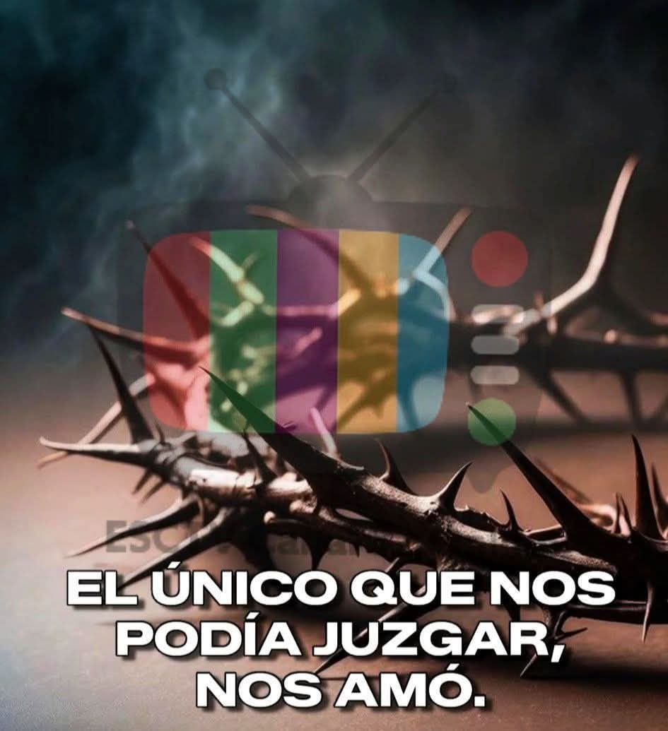 Estamos Con TV Canal 32 Online tweet media