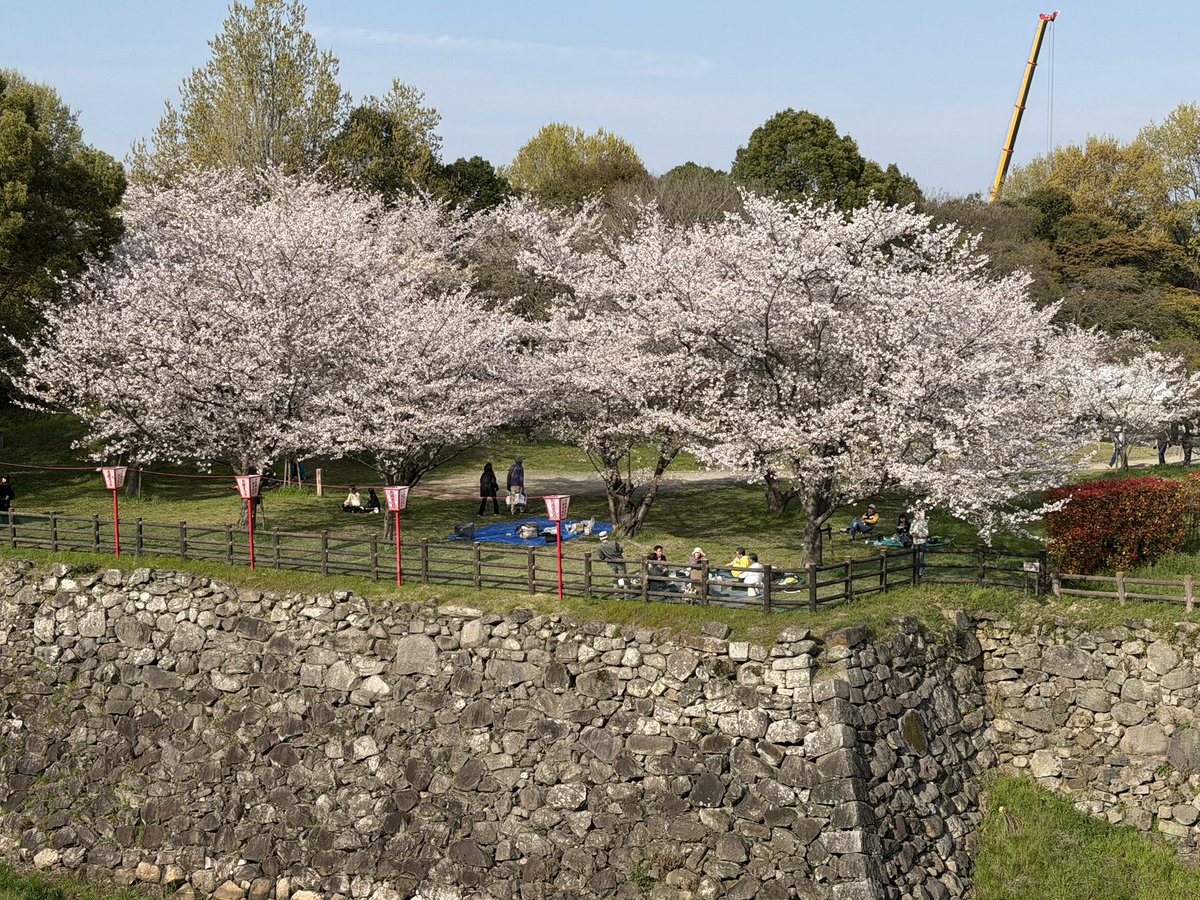 K Hishikawa tweet media