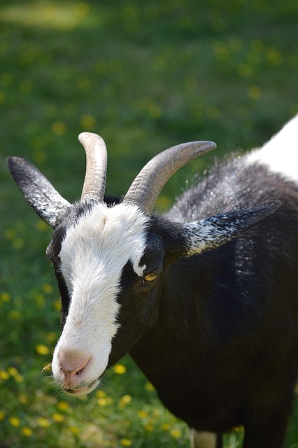 Samuel Winewizard tweet media