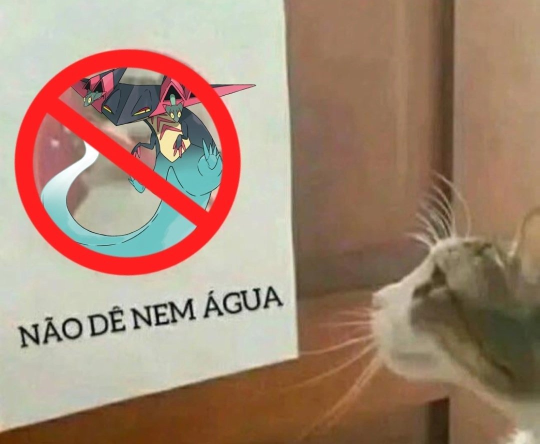 Treinador Juba #Nintendista tweet media
