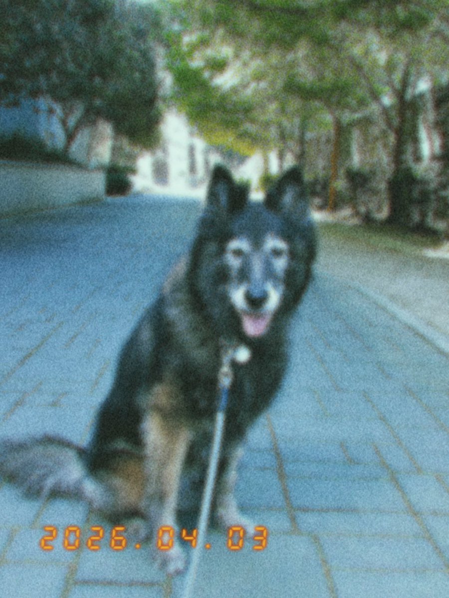 💜란/47💙 tweet media